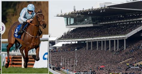 hot tips for cheltenham|Cheltenham Festival Tips, Race Cards, Results and Free Bets.